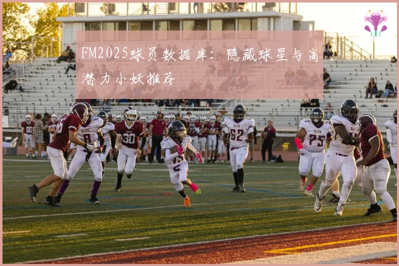 FM2025球员数据库：隐藏球星与高潜力小妖推荐