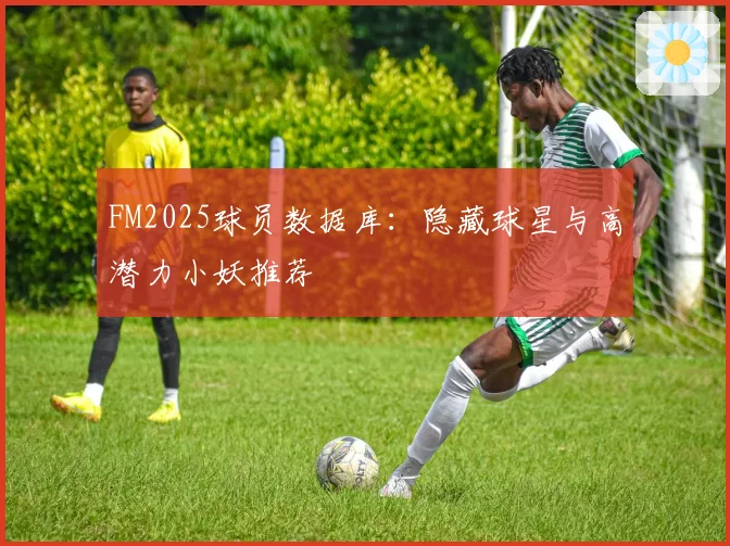 FM2025球员数据库:隐藏球星与高潜力小妖推荐
